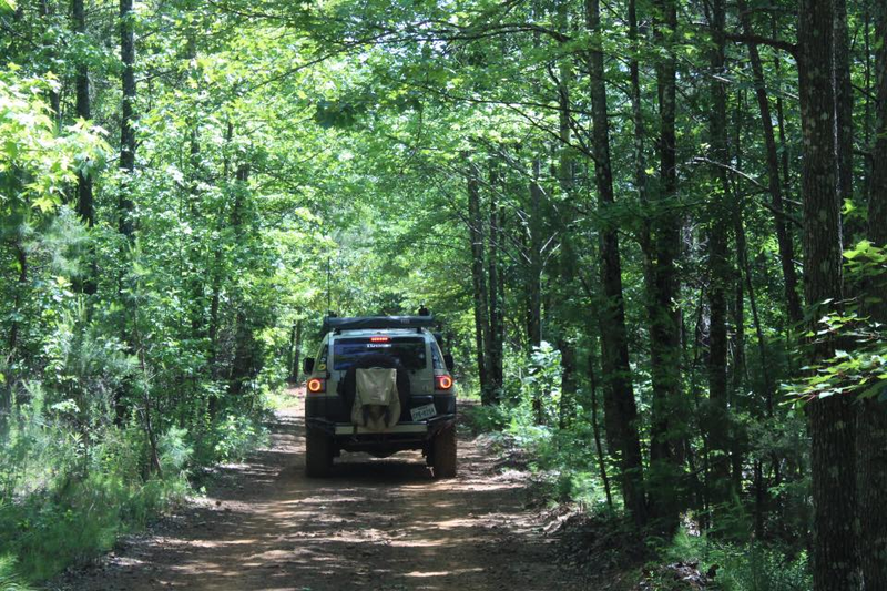 Any Sunday is a fun trail for beginners.